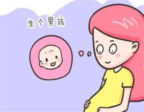 生男生女的機率|生男生女精子是關鍵！醫師：性行為時試試這樣做｜親子天下Prem